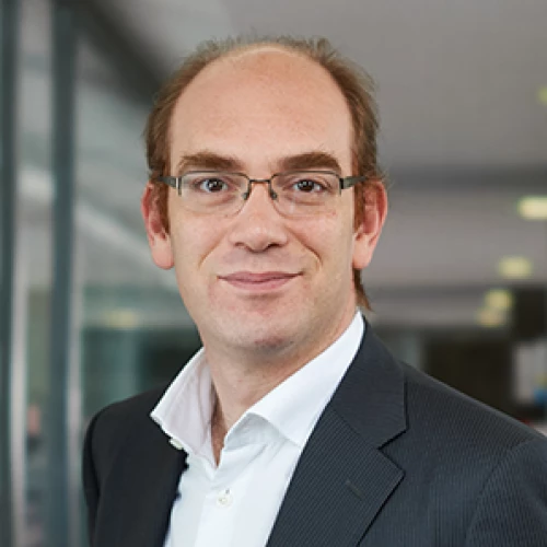 Headshot of BCG expert Franck Luisada