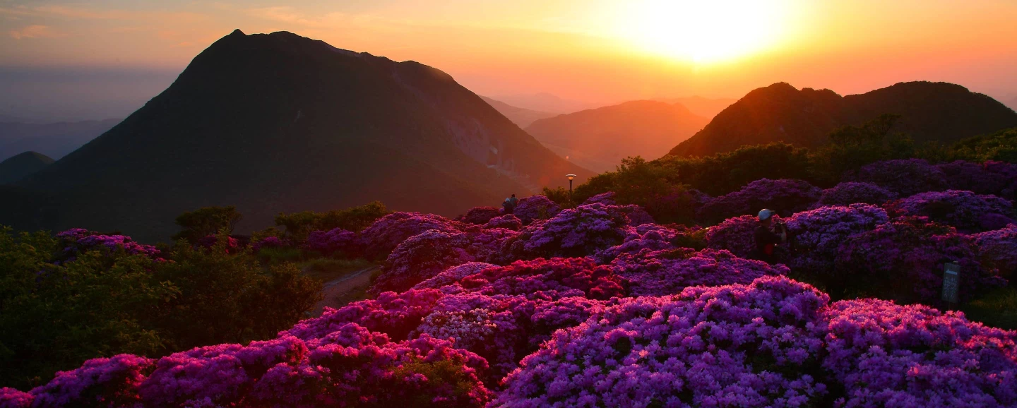 How to Create a Transformation That Lasts | BCG