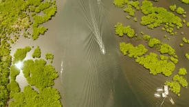 Five Imperatives to Spur Investment in Climate Adaptation | Hero