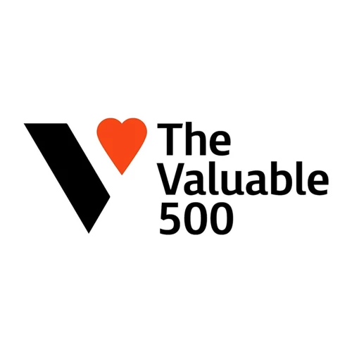 The Valuable 500.jpg