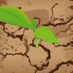 creating-value-brazil-no-growth-1536x912-tcm9-29179.jpg