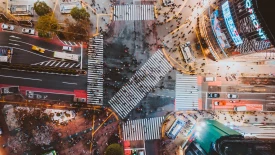 An Ecosystem Approach for City Governance - Rectangle