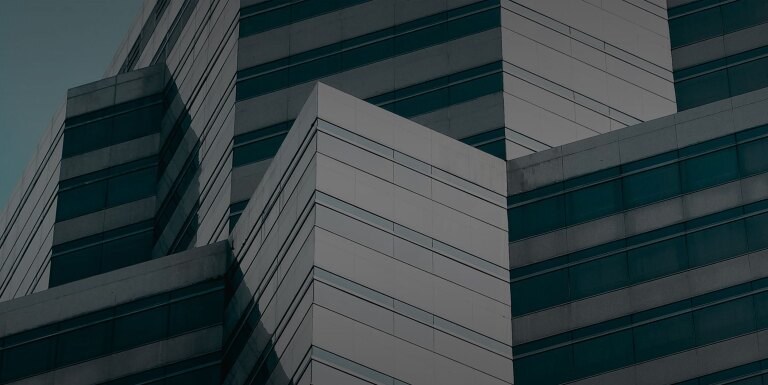 What Does A Successful Digital Ecosystem Look Like