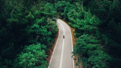 Image of person in the middle of a road in the woods