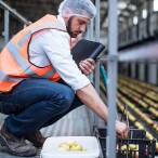 Indian Food Processing Sector | Rectangle