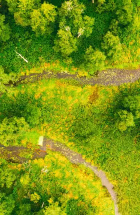 Sustainability in Retail Is Possible—But There’s Work to Be Done - Rectangle