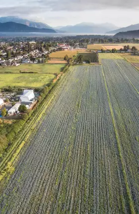 Four Futures for the Global Food System | Rectangle