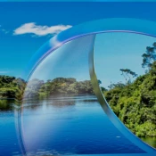 BCG at COP 30