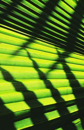 Unlocking Operations Competitiveness in Emerging Markets