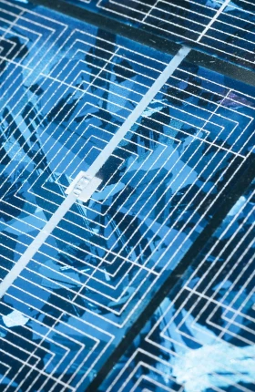 What CEOs Need to Know About Deep Tech - rectangle