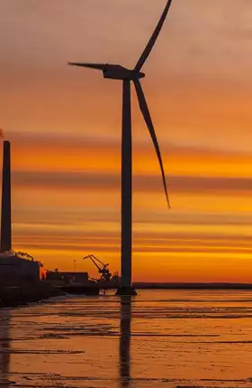 Now It’s Time for Public Procurement to Go Green