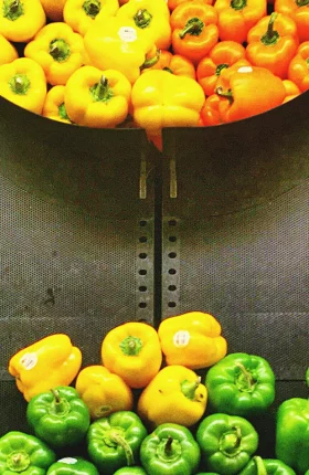 customer-centric-grocer-1694x950-tcm9-150529.jpg