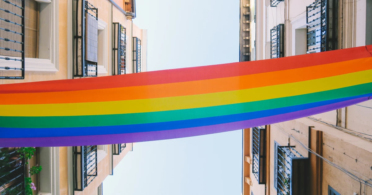Fostering Pride in Higher Education: The Road to Inclusion