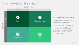 boston consulting group matrix