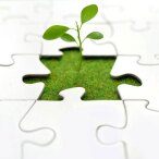 will-more-growth-tcm9-141736.jpg