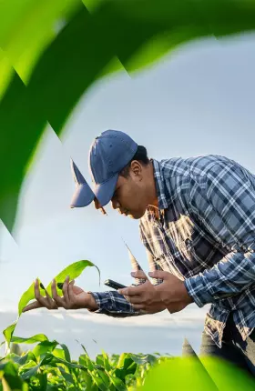 Unearthing Soil’s Carbon-Removal Potential in Agriculture