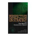 perspectives-on-strategy-en-tcm9-165500.png