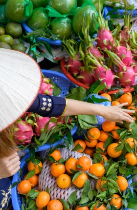 Food-Innovation-Hubs-Global-Initiative-still