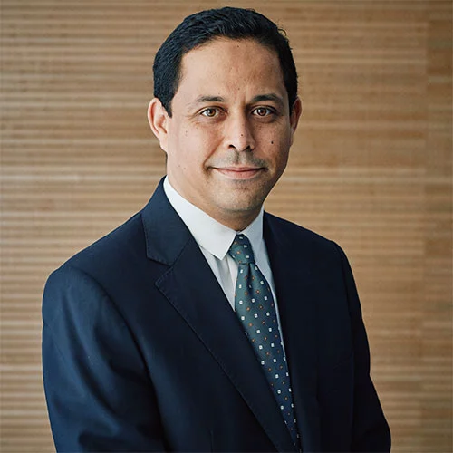 Headshot of BCG expert Hakim Hamane