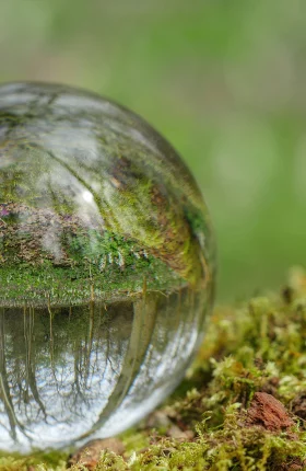 North-Americas-Bioenergy-Revolution.jpg