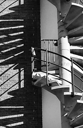 Spiral Staircase