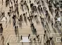 Decoding Global Talent Collection of Publication and Reports