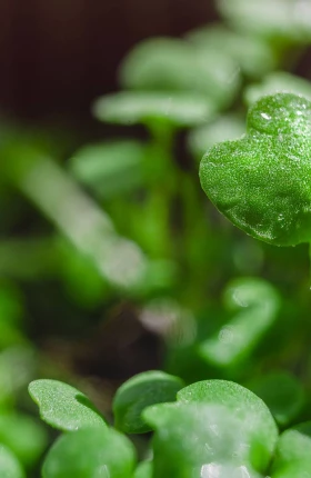 Fortune Future 50: An Index for Tomorrow’s Growth—and Today’s Resilience