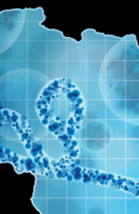 wef-ebola-report-june2015-1694x950-tcm9-61139.jpg