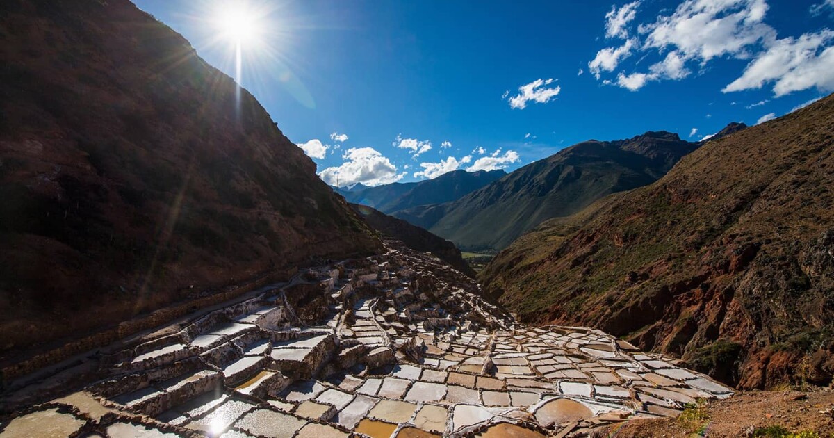 g Cdpとパートナーシップを締結しco2排出量のリファレンス プラットフォームを共同開発 g Cdpとパートナーシップを締結しco2排出量のリファレンス プラットフォームを共同開発