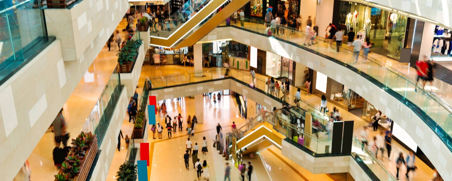 Understanding Resilient Consumers: Key to Business Growth Understanding Resilient Consumers: Key to Business Growth