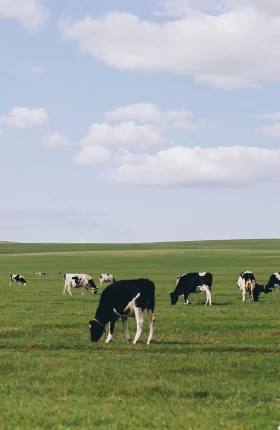 methane-high-impact-greenhouse-gas.jpg