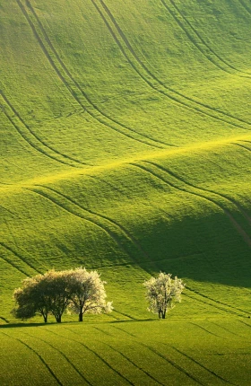 The-Net-Zero-Path-of-Agriculture-CN.jpg