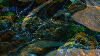 htdeep-tech-report-2880x1620-tcm9-215911.jpg