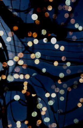 Small lights on the water