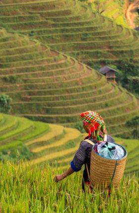 agribusiness-industry-square
