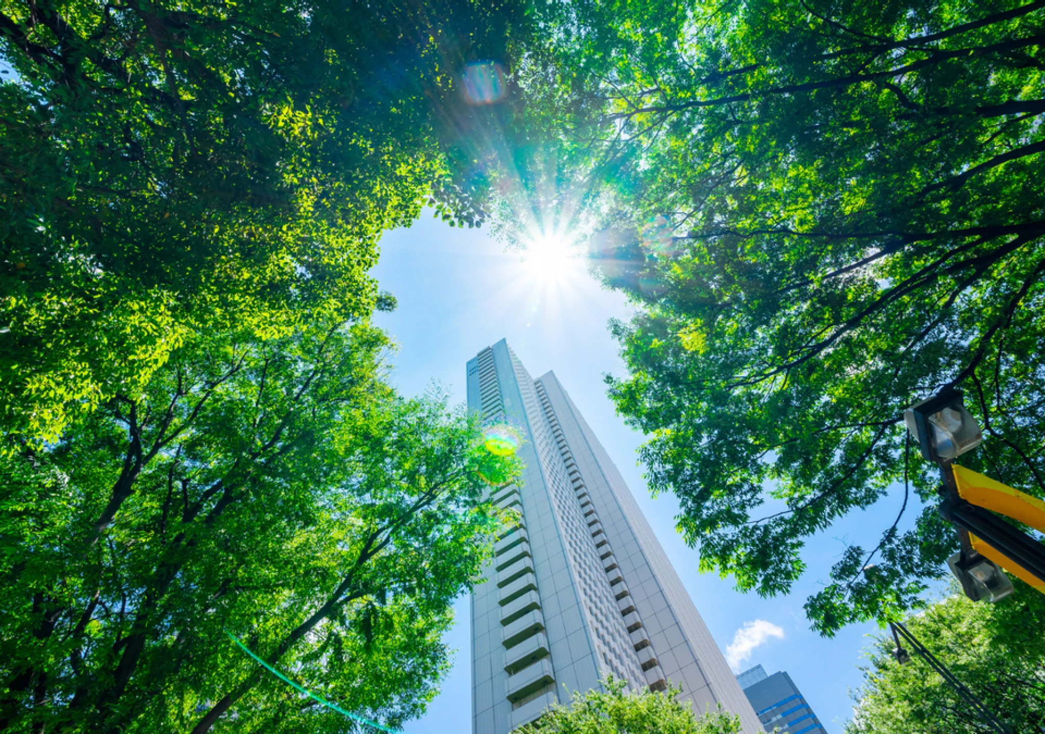 Business Growth and Innovation