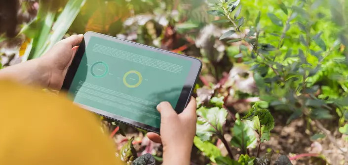 14% des entreprises ont réduit leurs émissions conformément à leurs ambitions au cours des cinq dernières années | Hero