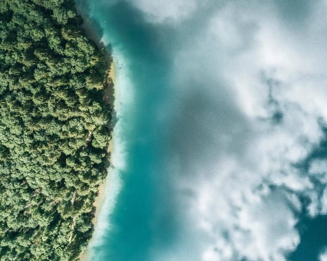 Aerial image of a blue ocean that reflects the sky and meets a forested coastline.