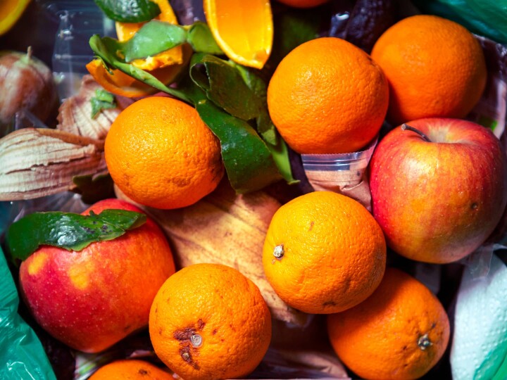 Closing the Food Waste Gap