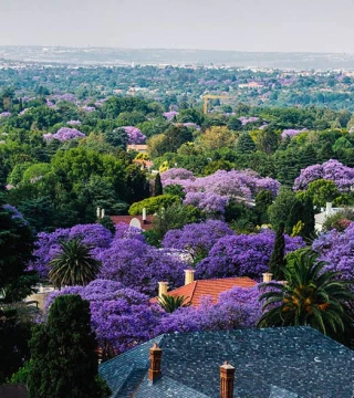 Johannesburg Office | BCG in Africa | Hero
