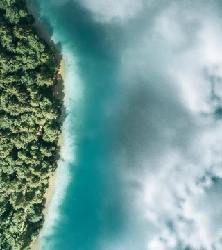 Aerial image of a blue ocean that reflects the sky and meets a forested coastline.