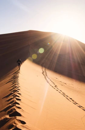 Five Ways CEOs Can Take On the Climate Challenge | rectangle