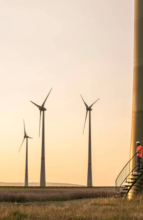 Commit to Tackling Climate Change—and Its Effects | rectangle