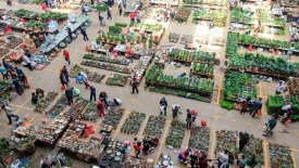 How Chinese Grocers Can Leapfrog the Competition - rectangle