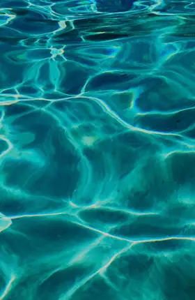 Sun shining on the surface of water
