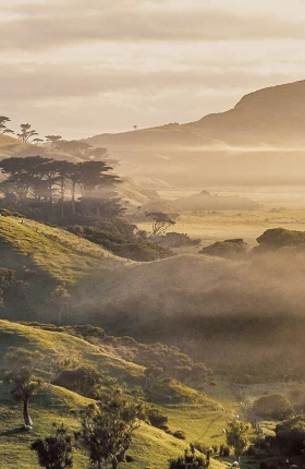 Navigating Future Uncertainty in New Zealand with Megatrends - Rectangle.jpg