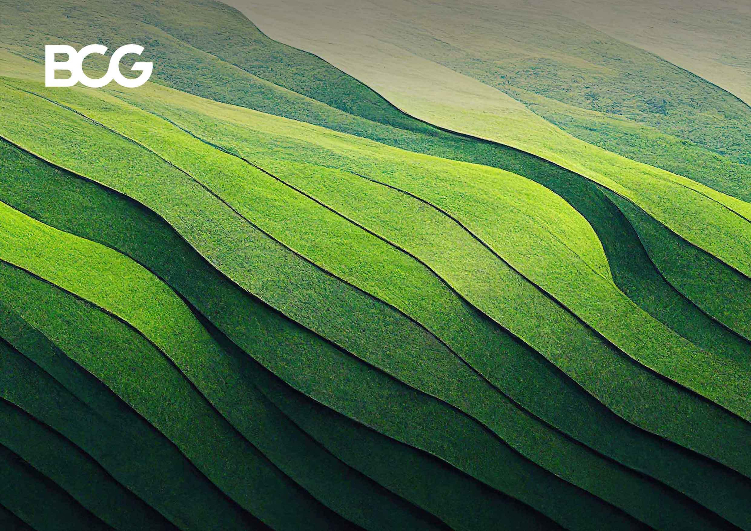 Five Lessons From Building Green Businesses | BCG