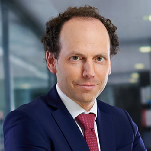 Headshot of BCG expert Gwenhael Le Boulay