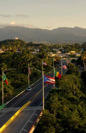 "Flags along road in Puerto-Rico"