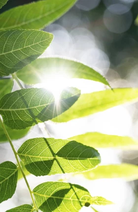 carbon-neutral-management-index-japanese-companies-hero-2023.jpg